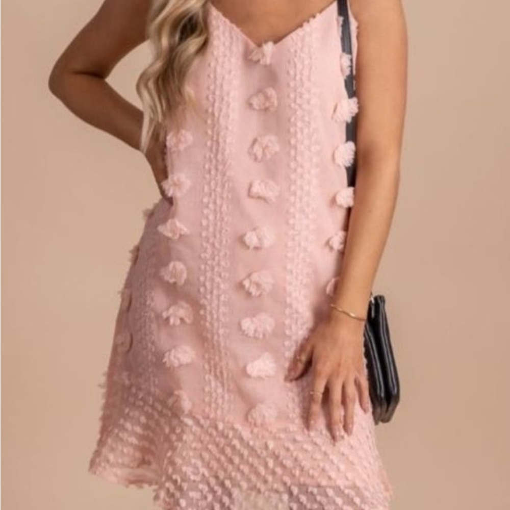 Pink Lilly Swiss Dot Dress